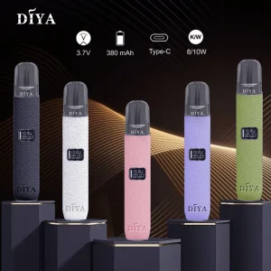 DIYA 叮啞皮革主機